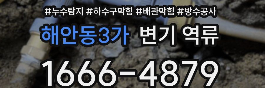 해안동3가 변기 역류