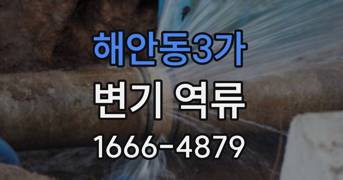 해안동3가 변기 역류