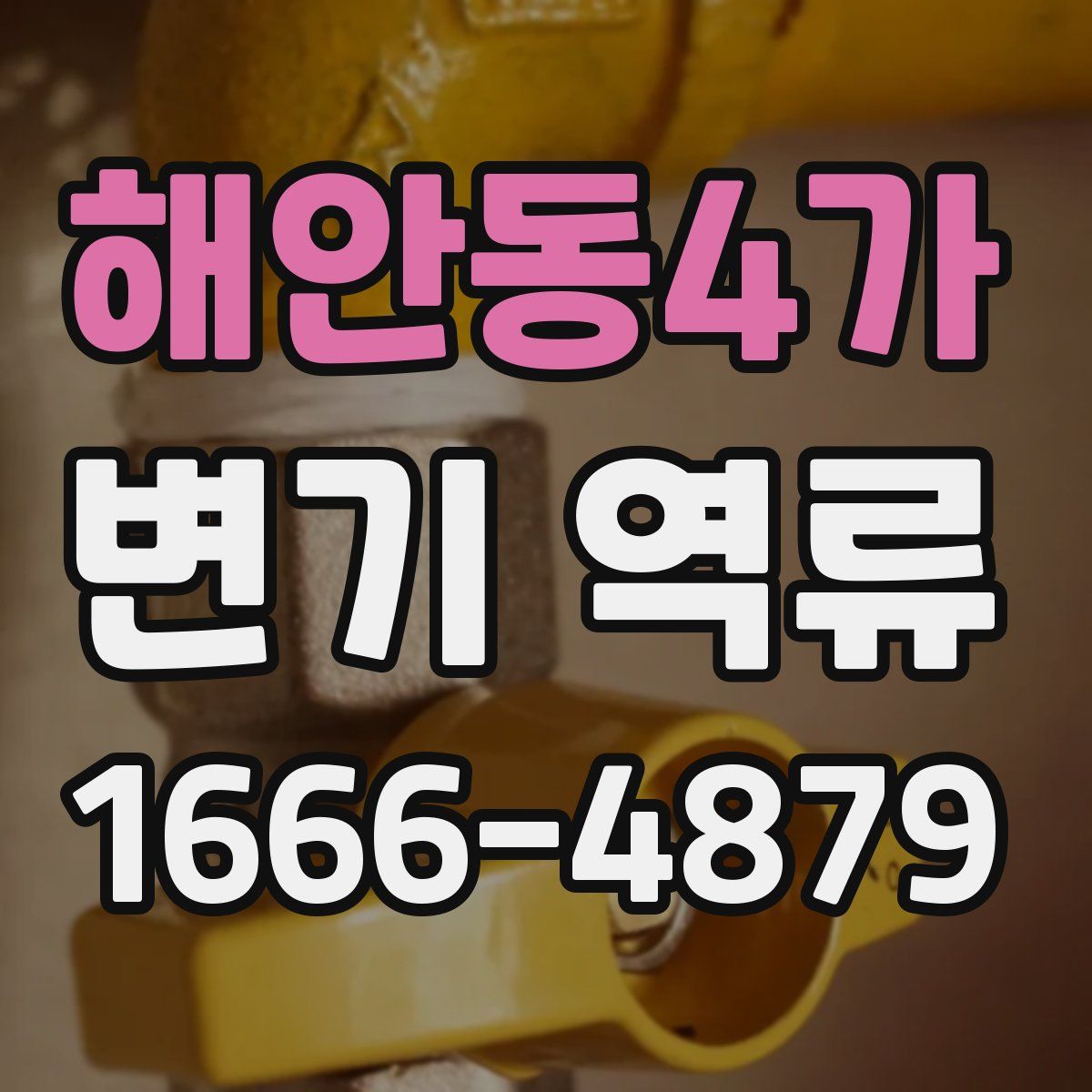 해안동4가 변기 역류