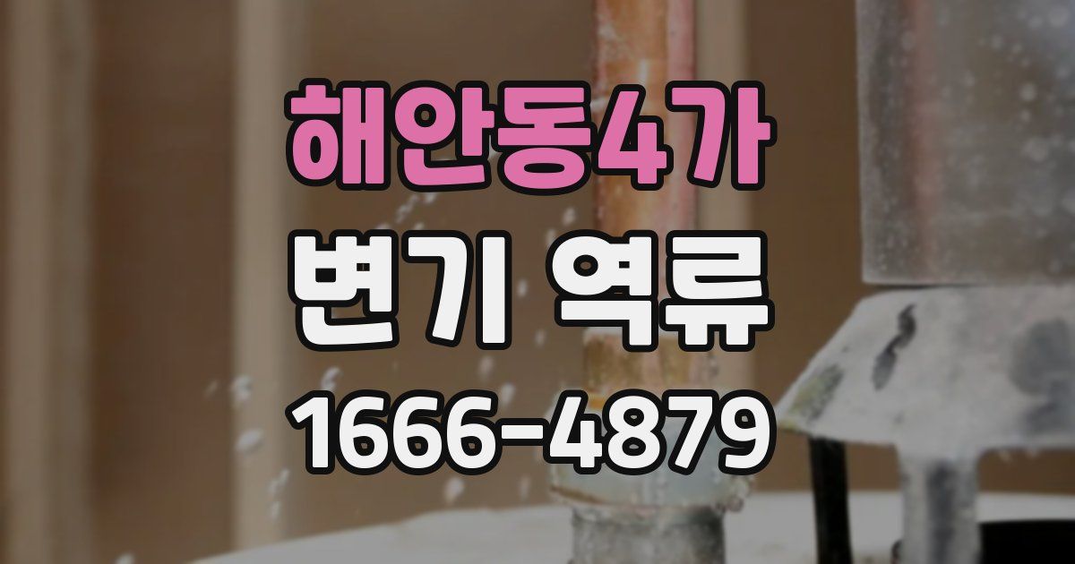 해안동4가 변기 역류