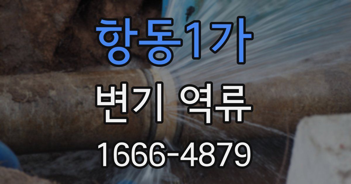 항동1가 변기 역류