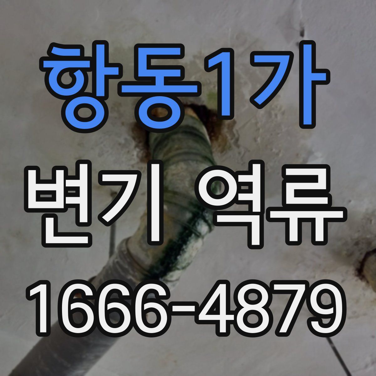 항동1가 변기 역류