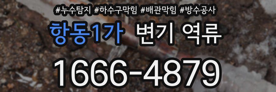 항동1가 변기 역류