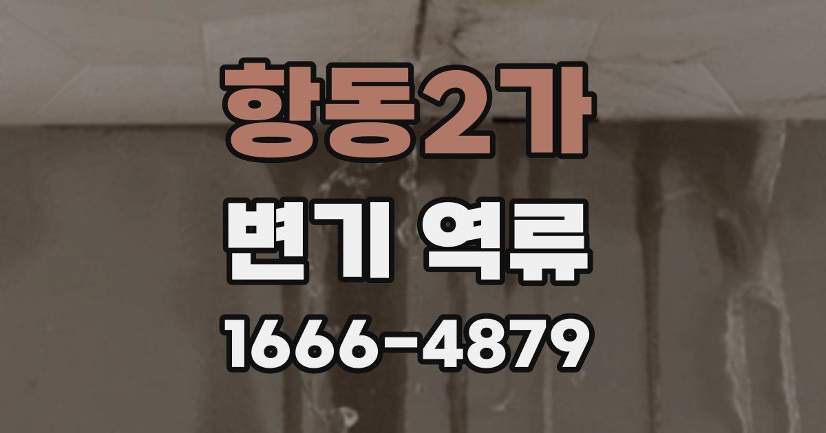 항동2가 변기 역류