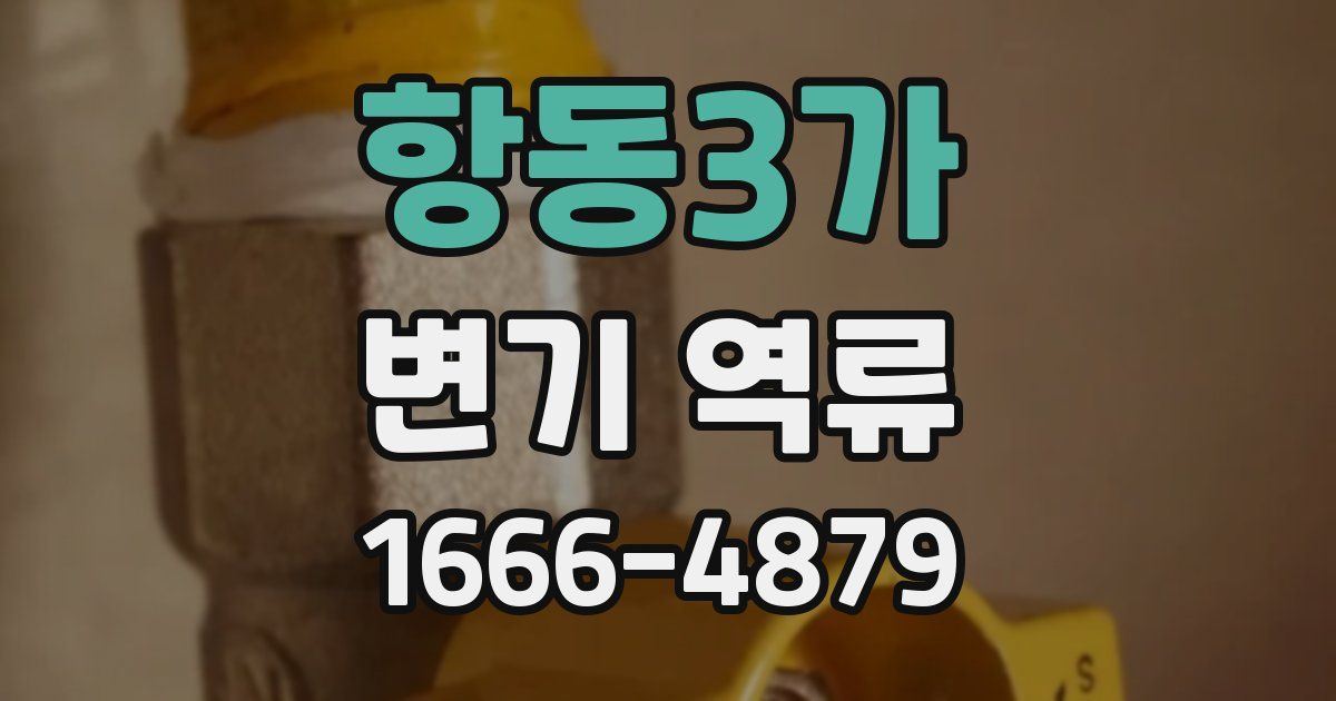 항동3가 변기 역류