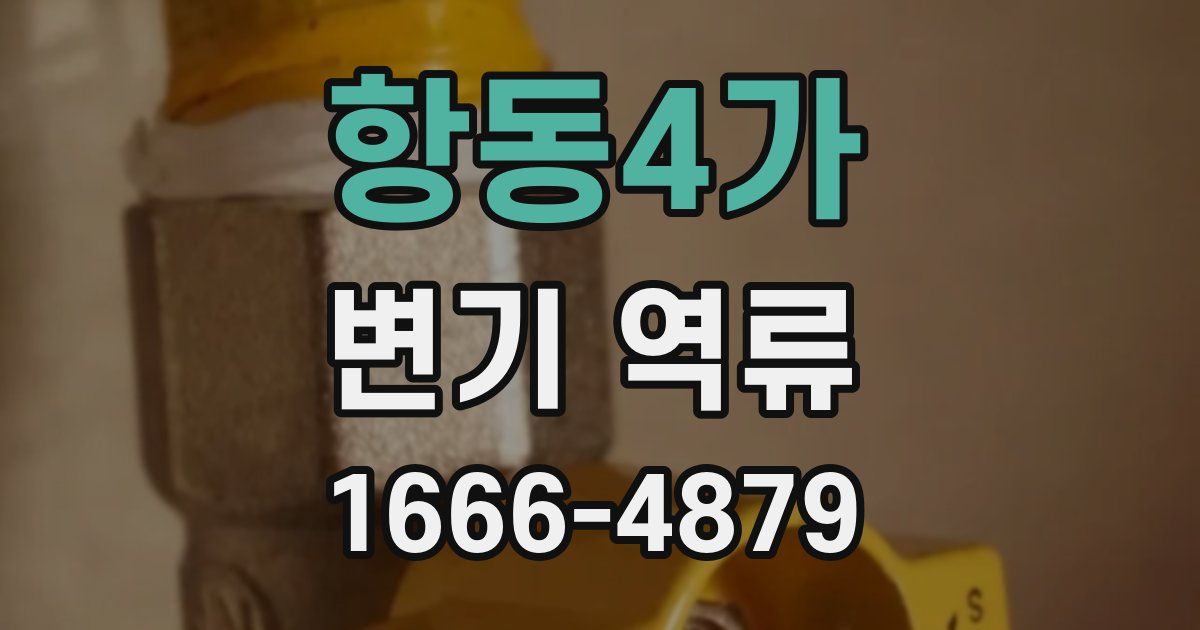 항동4가 변기 역류