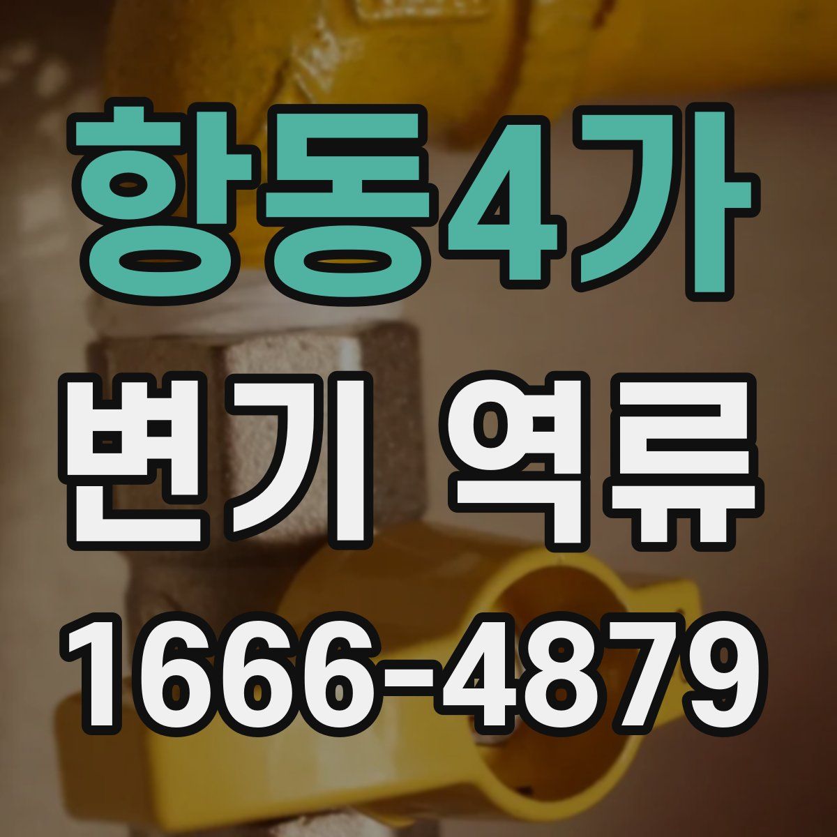 항동4가 변기 역류