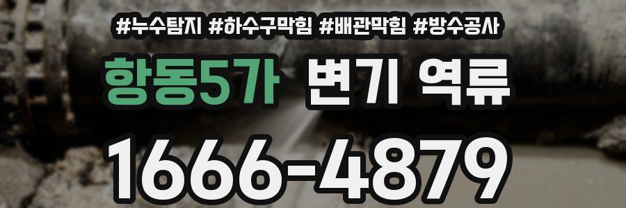 항동5가 변기 역류