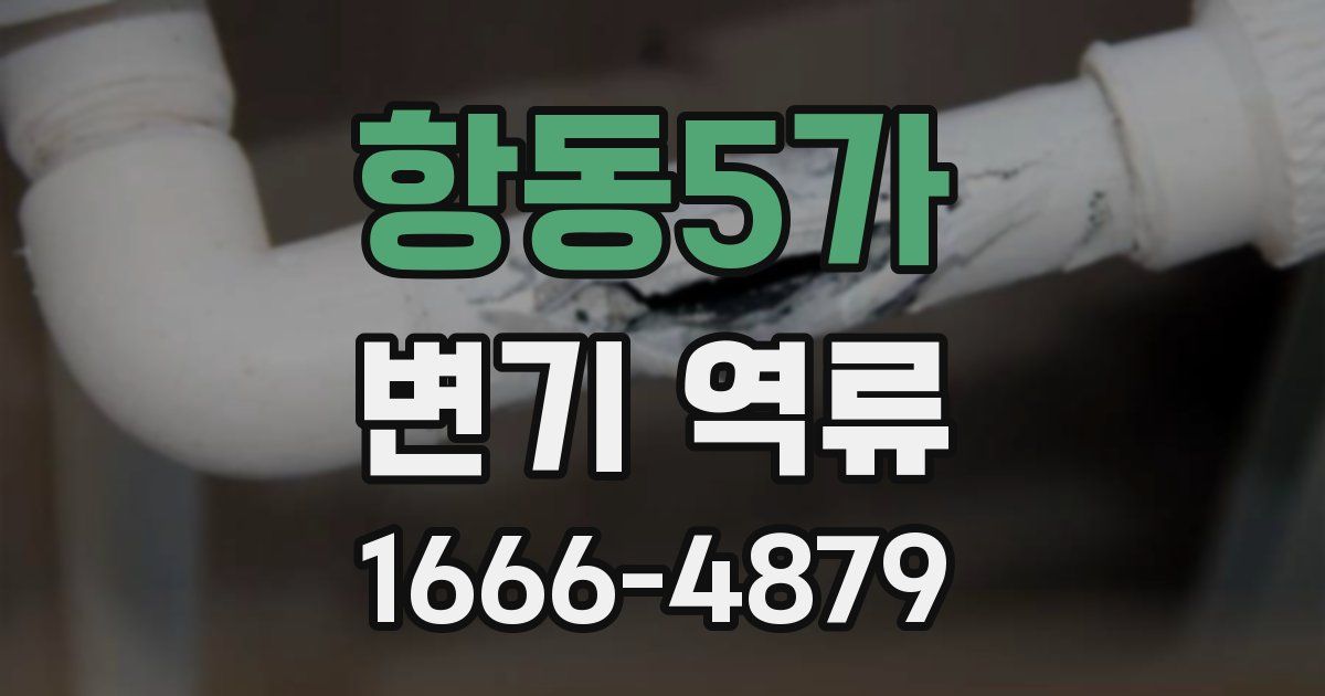 항동5가 변기 역류