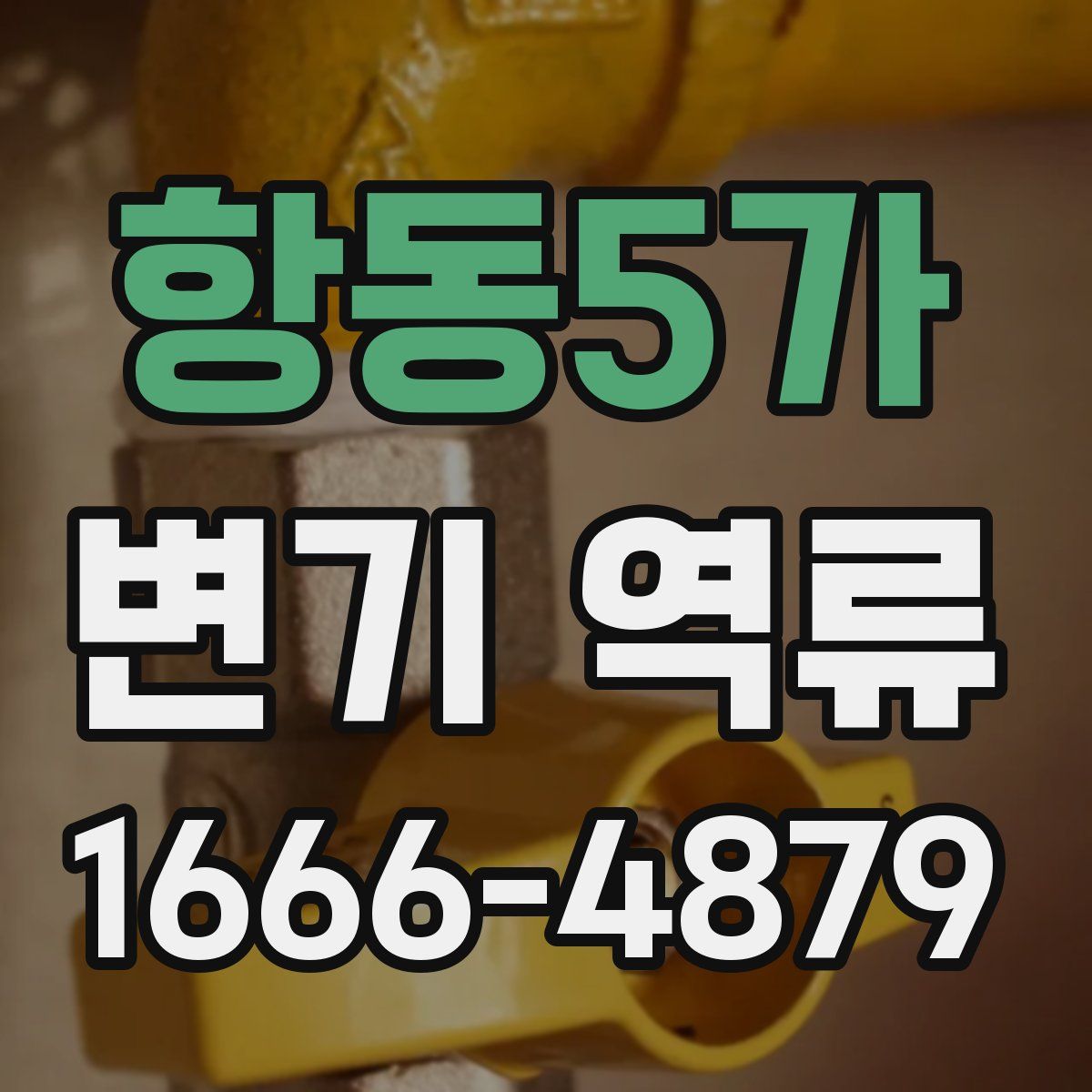 항동5가 변기 역류