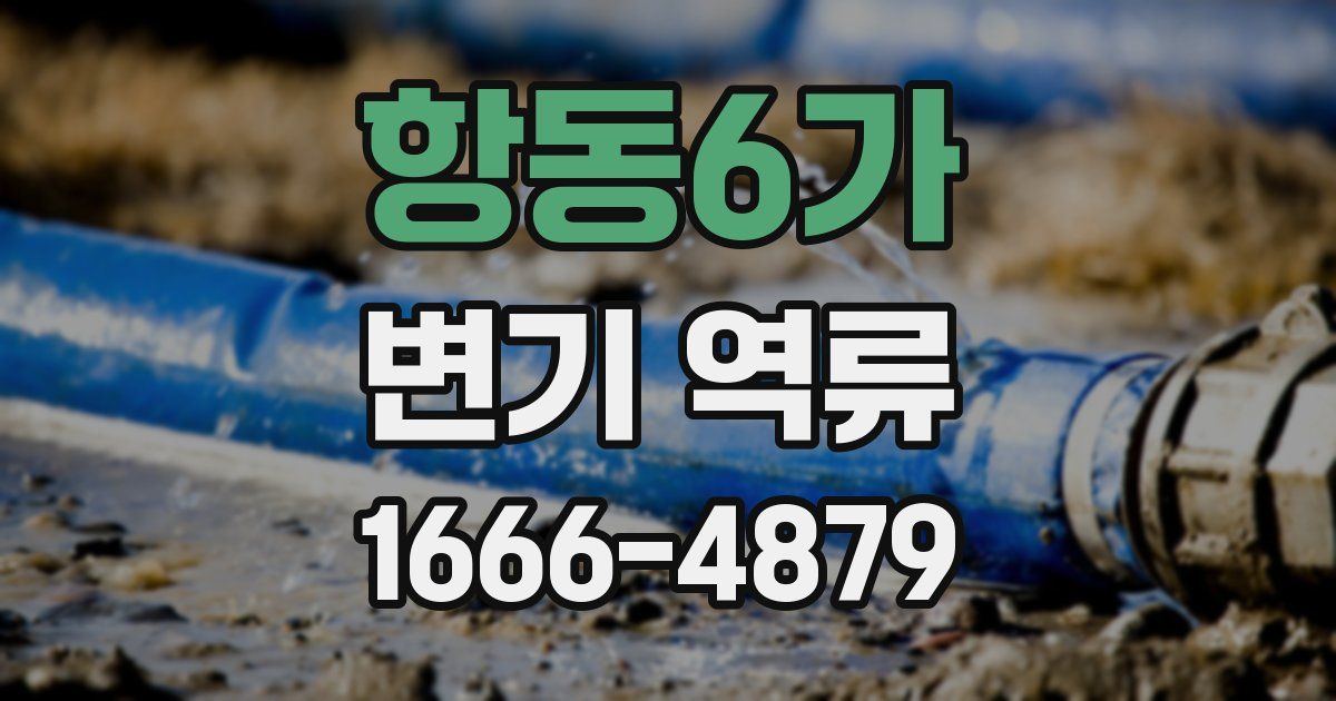 항동6가 변기 역류