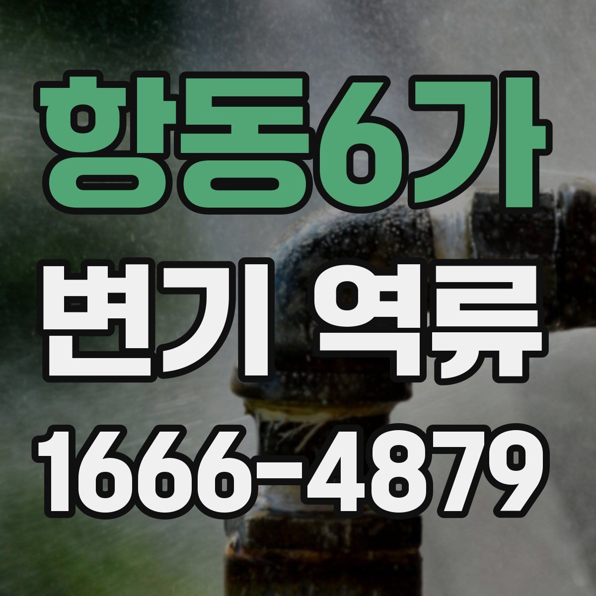 항동6가 변기 역류