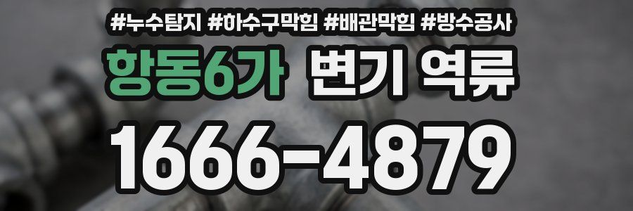 항동6가 변기 역류