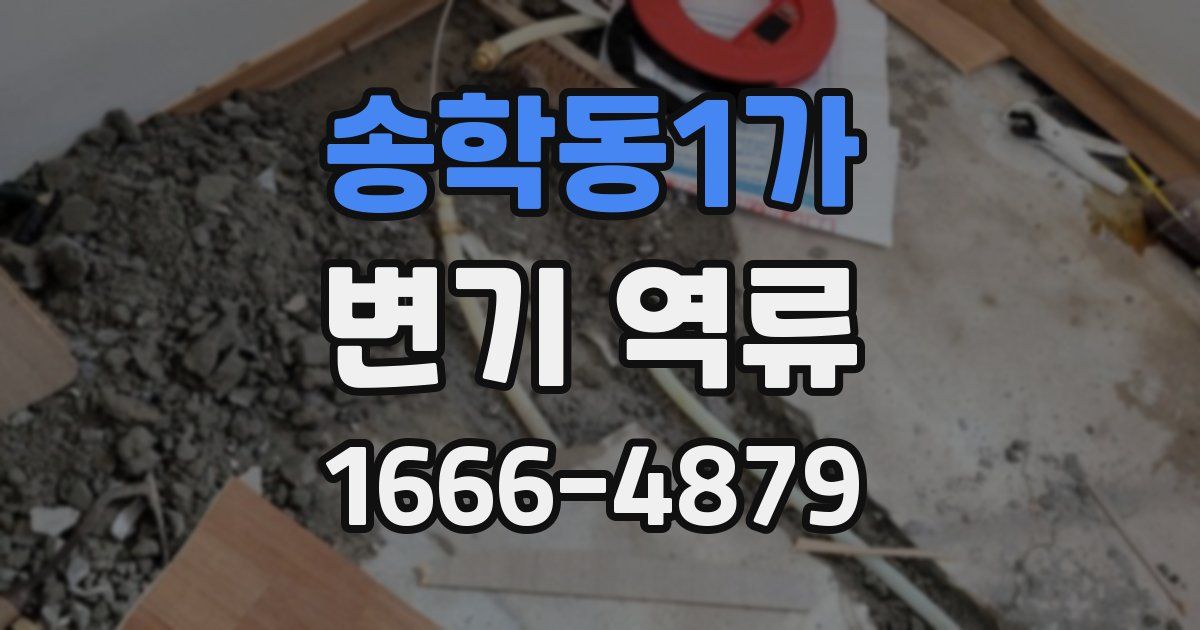 송학동1가 변기 역류