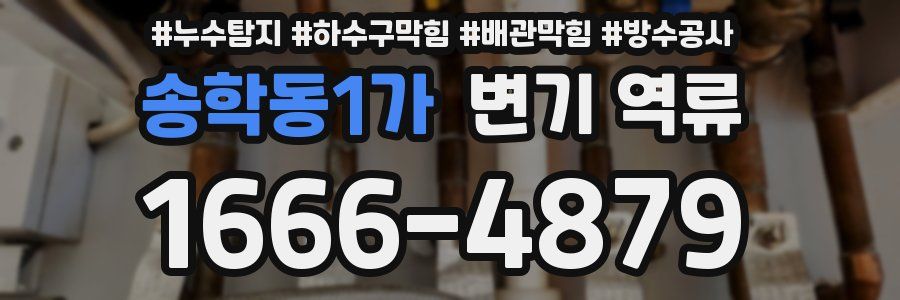 송학동1가 변기 역류