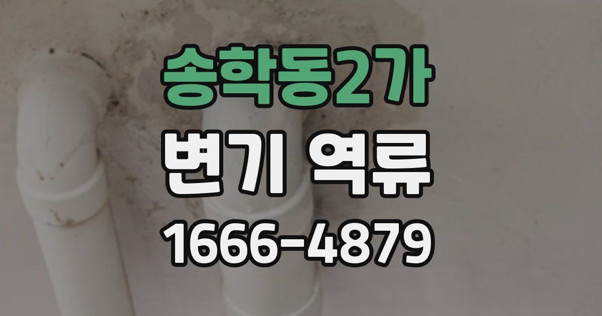송학동2가 변기 역류