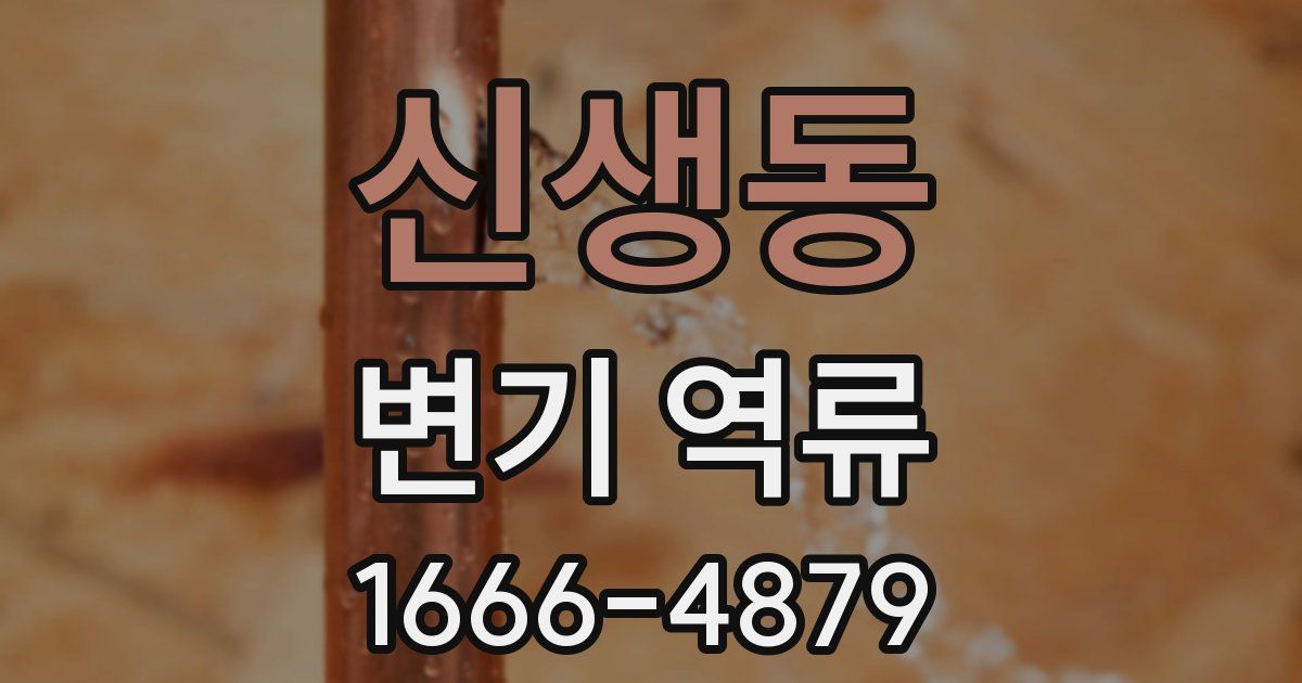 신생동 변기 역류