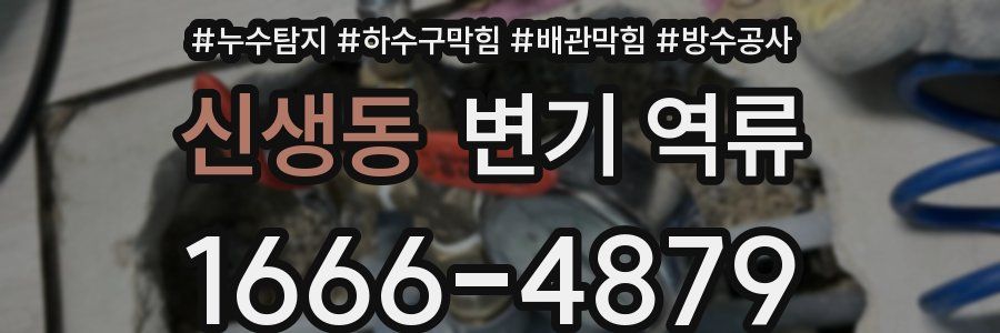 신생동 변기 역류
