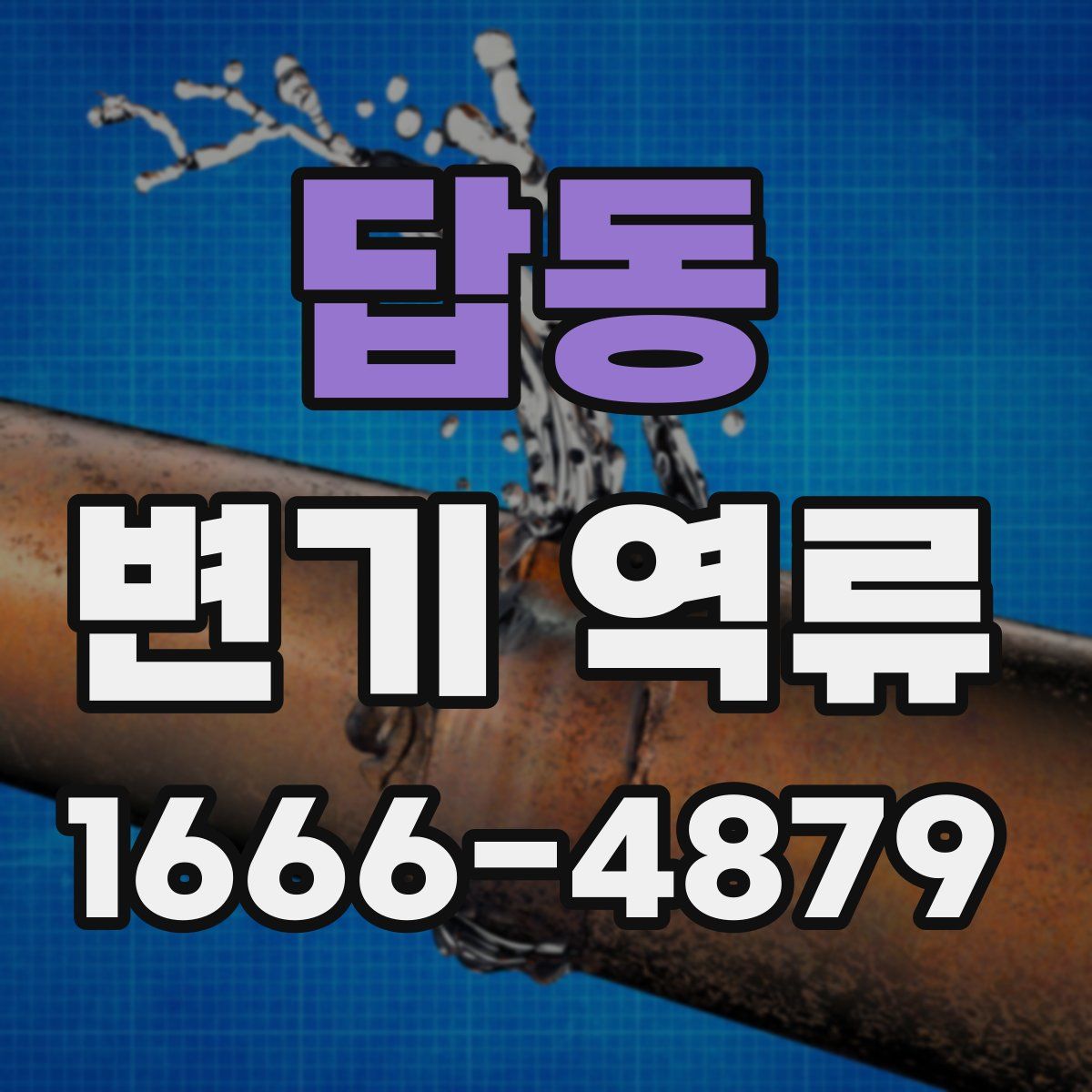 답동 변기 역류