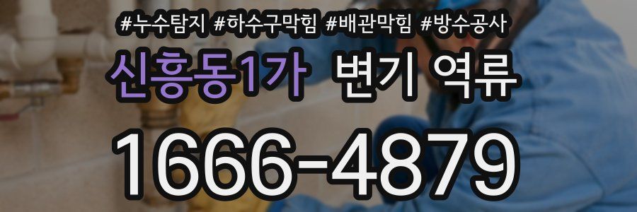 신흥동1가 변기 역류