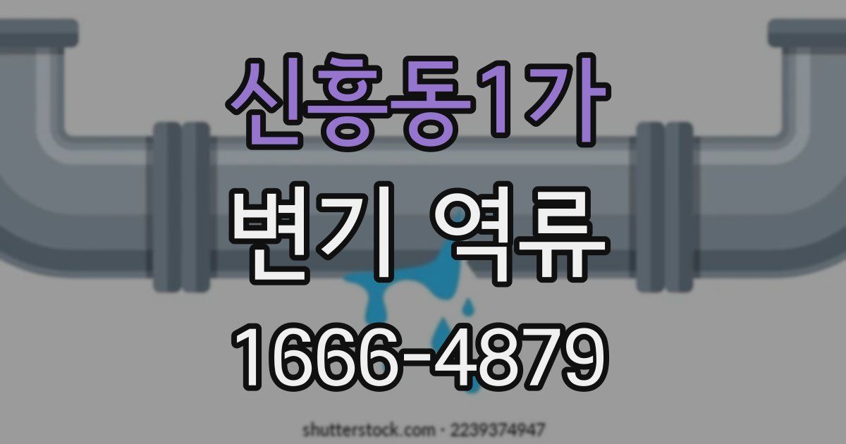 신흥동1가 변기 역류