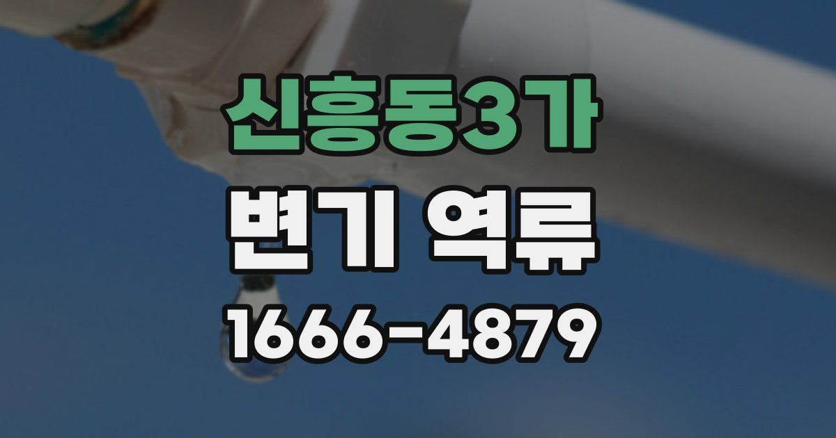 신흥동3가 변기 역류