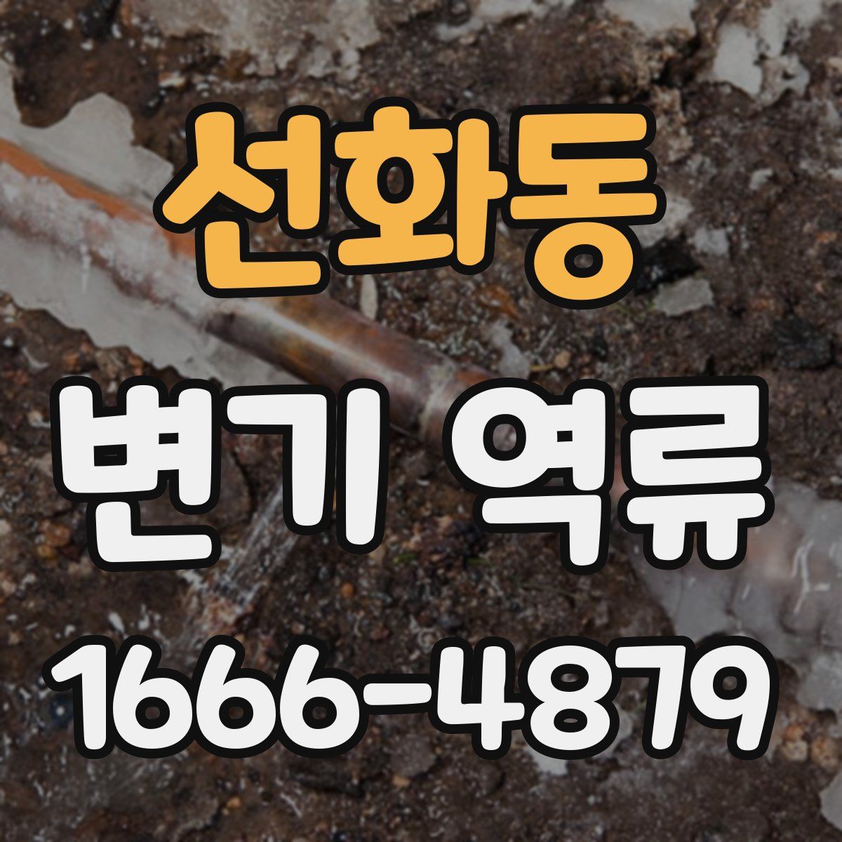 선화동 변기 역류