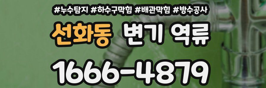 선화동 변기 역류