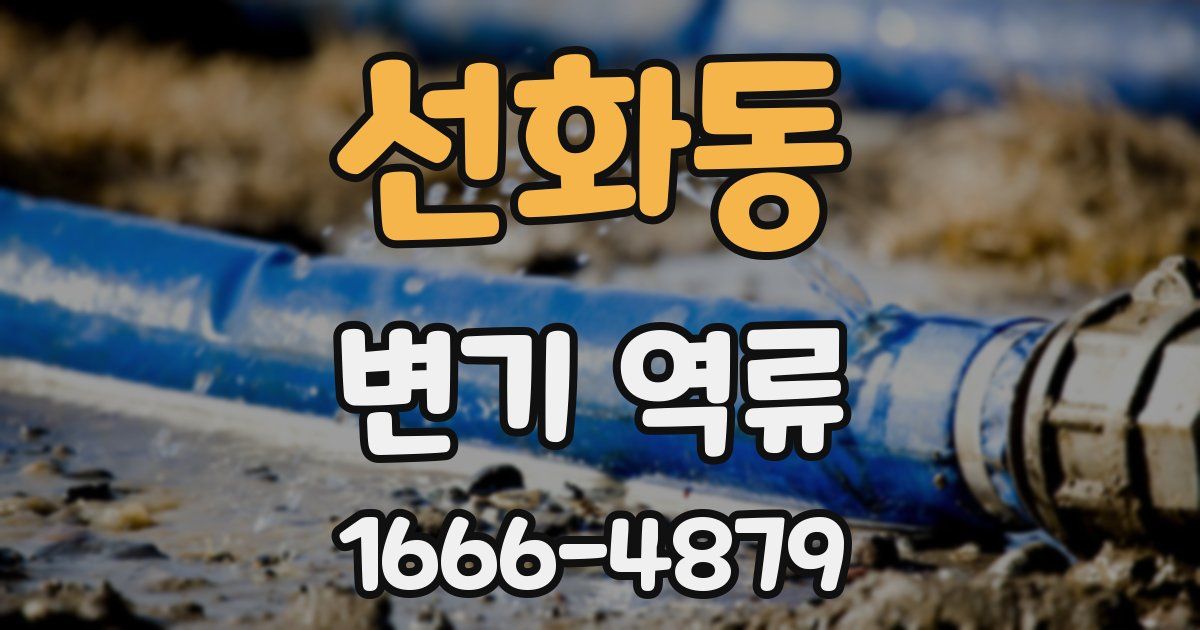 선화동 변기 역류