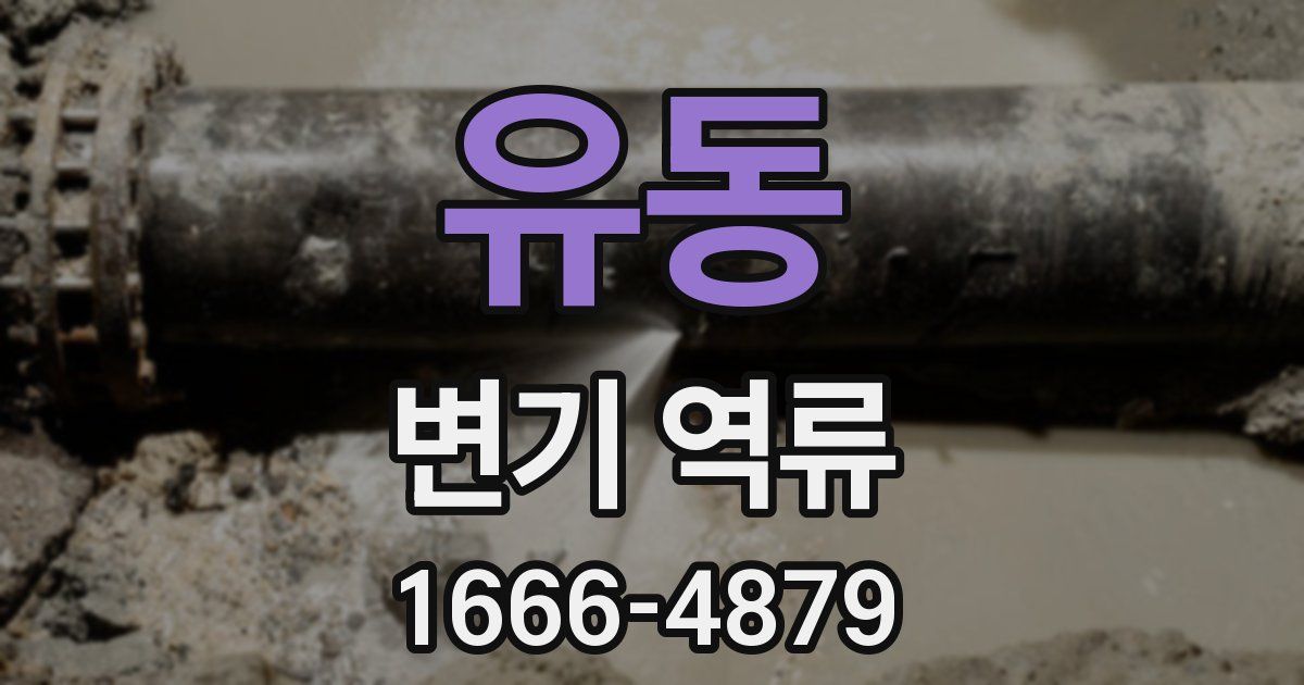 유동 변기 역류
