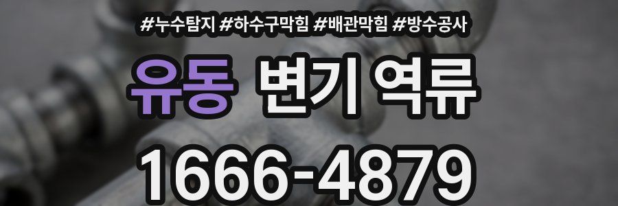 유동 변기 역류