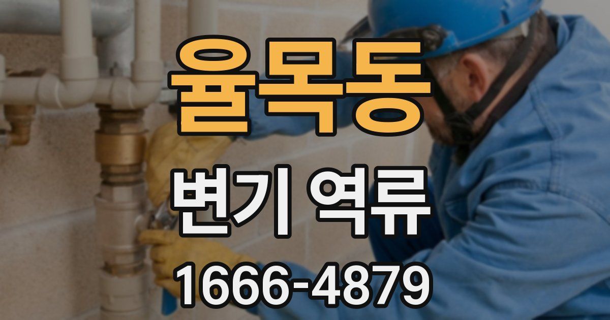 율목동 변기 역류