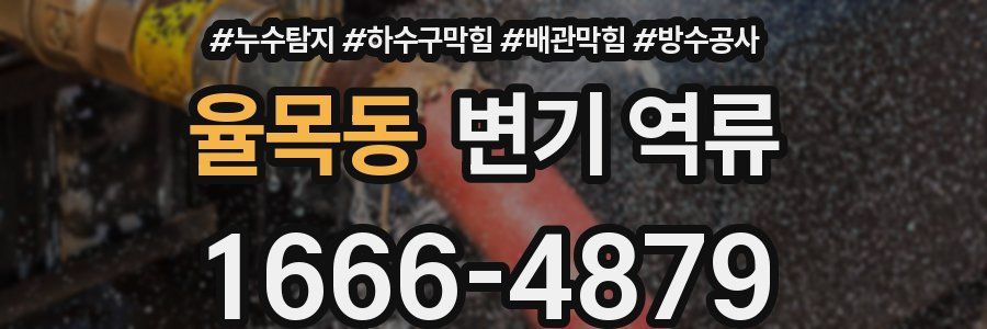 율목동 변기 역류