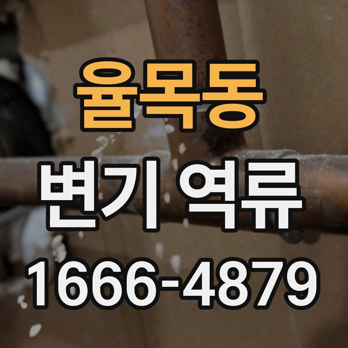 율목동 변기 역류