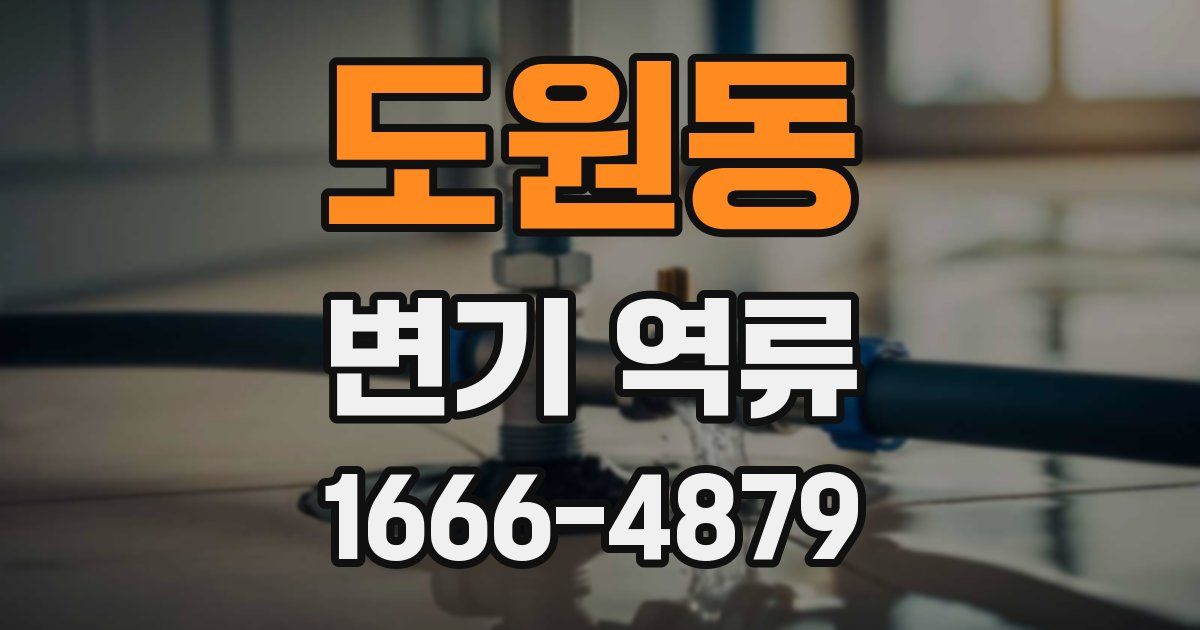 도원동 변기 역류