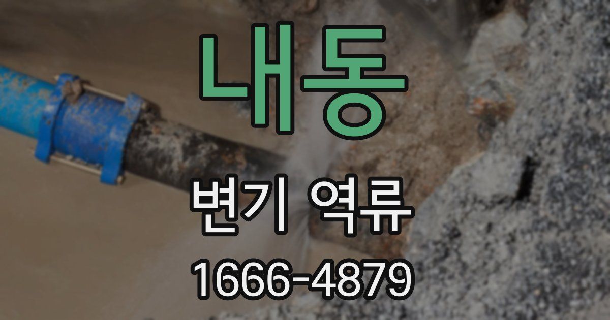 내동 변기 역류