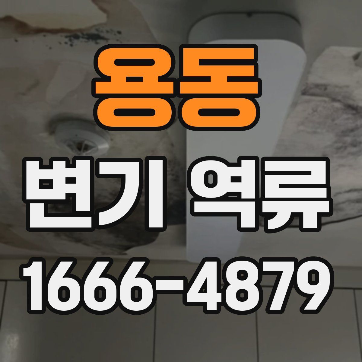 용동 변기 역류
