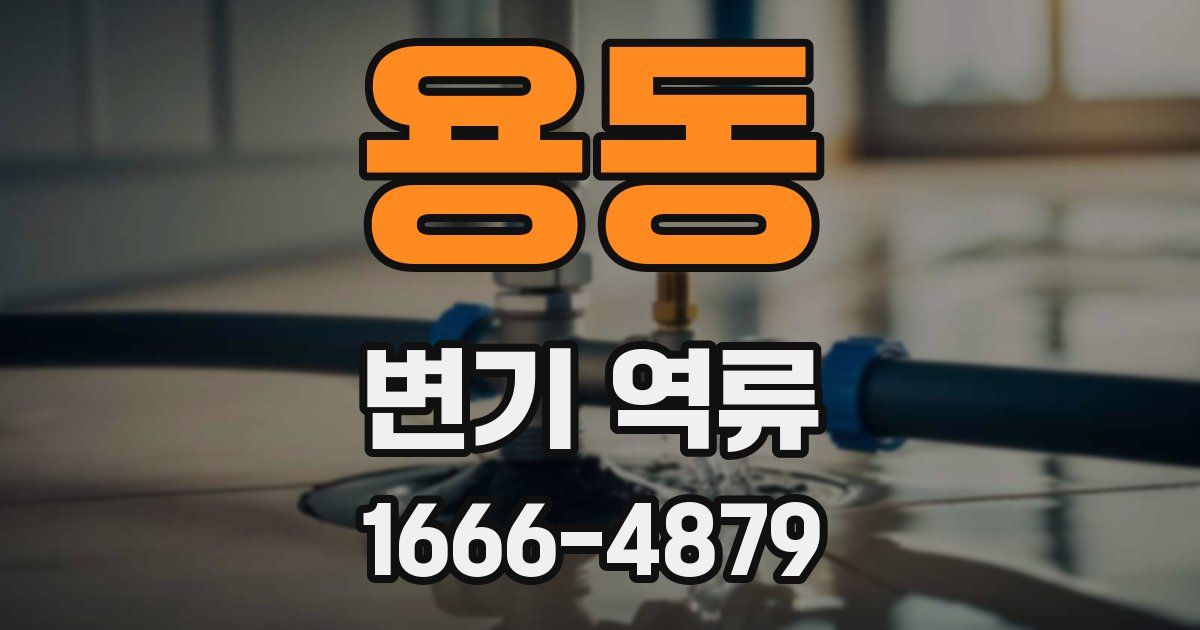 용동 변기 역류