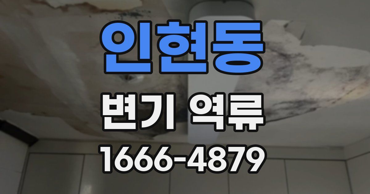 인현동 변기 역류