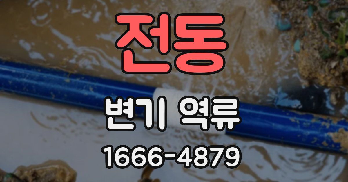 전동 변기 역류