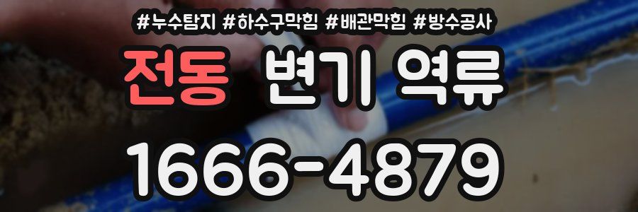 전동 변기 역류