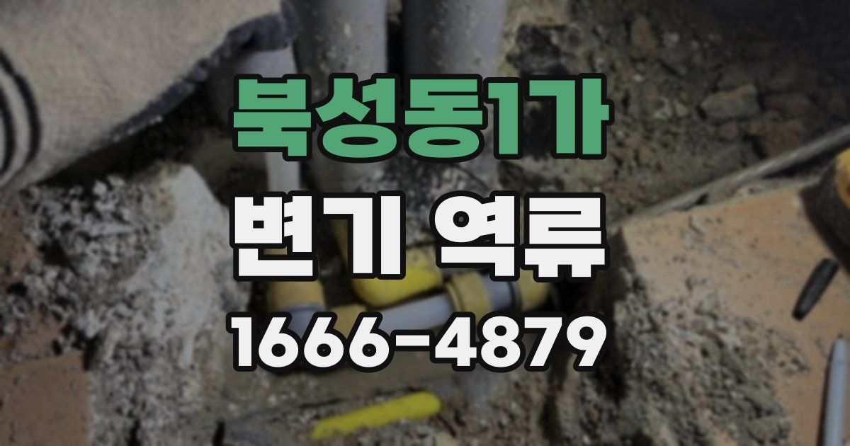 북성동1가 변기 역류