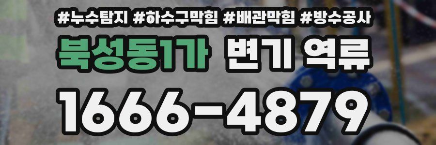 북성동1가 변기 역류