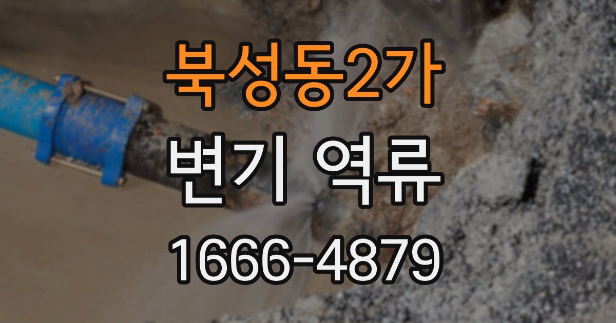 북성동2가 변기 역류