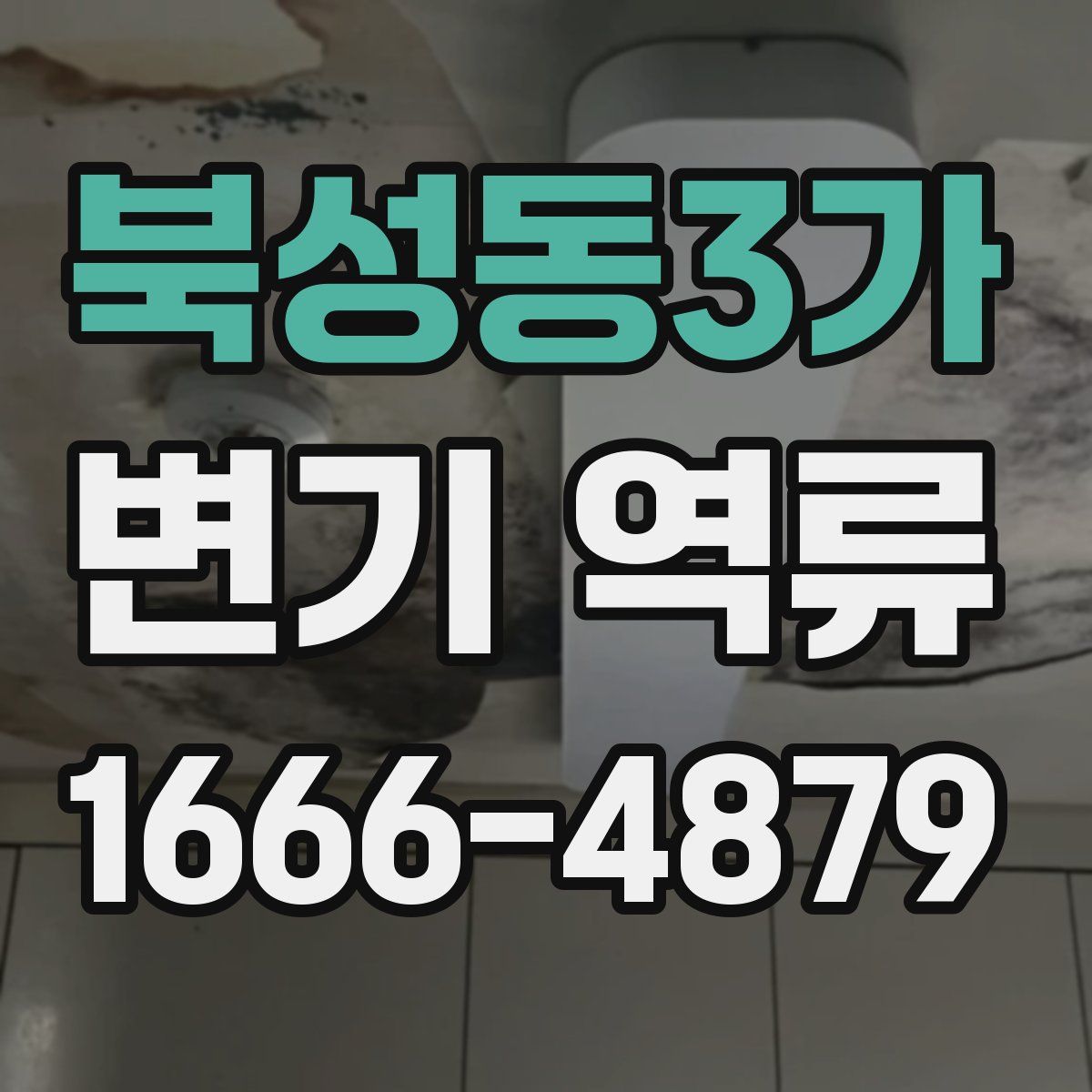 북성동3가 변기 역류