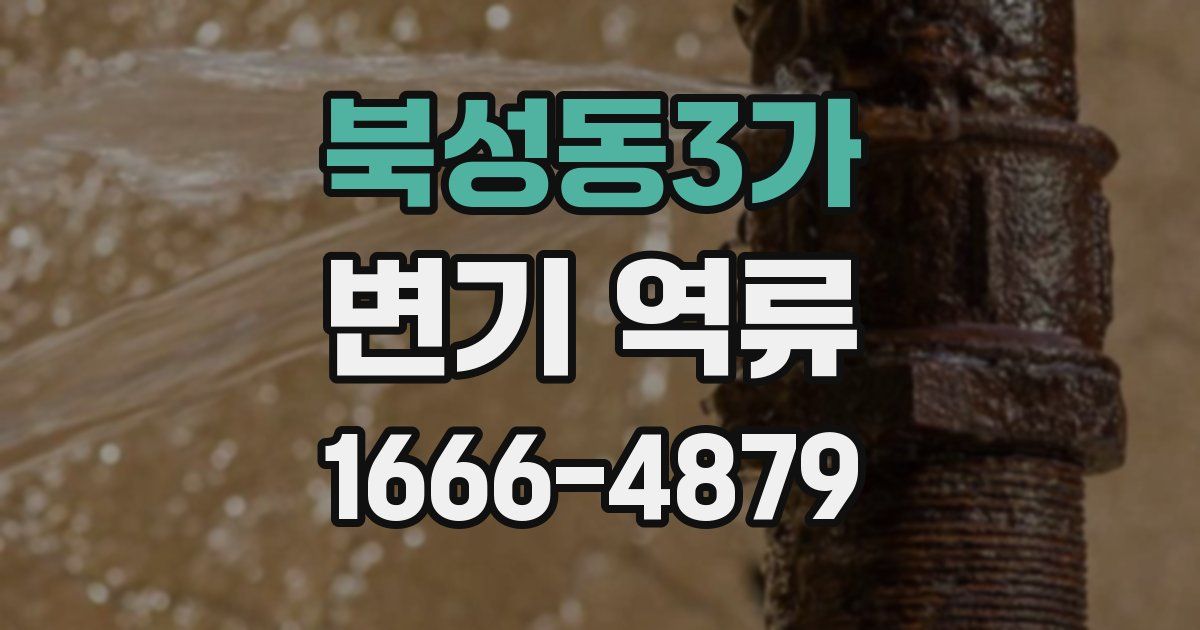 북성동3가 변기 역류