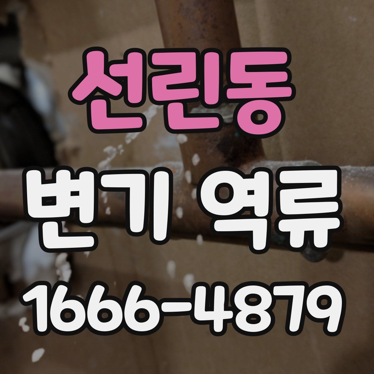 선린동 변기 역류