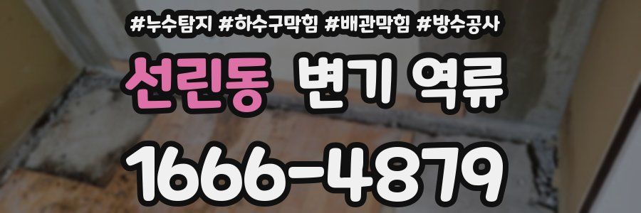 선린동 변기 역류