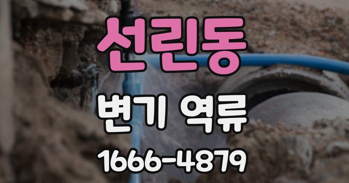 선린동 변기 역류