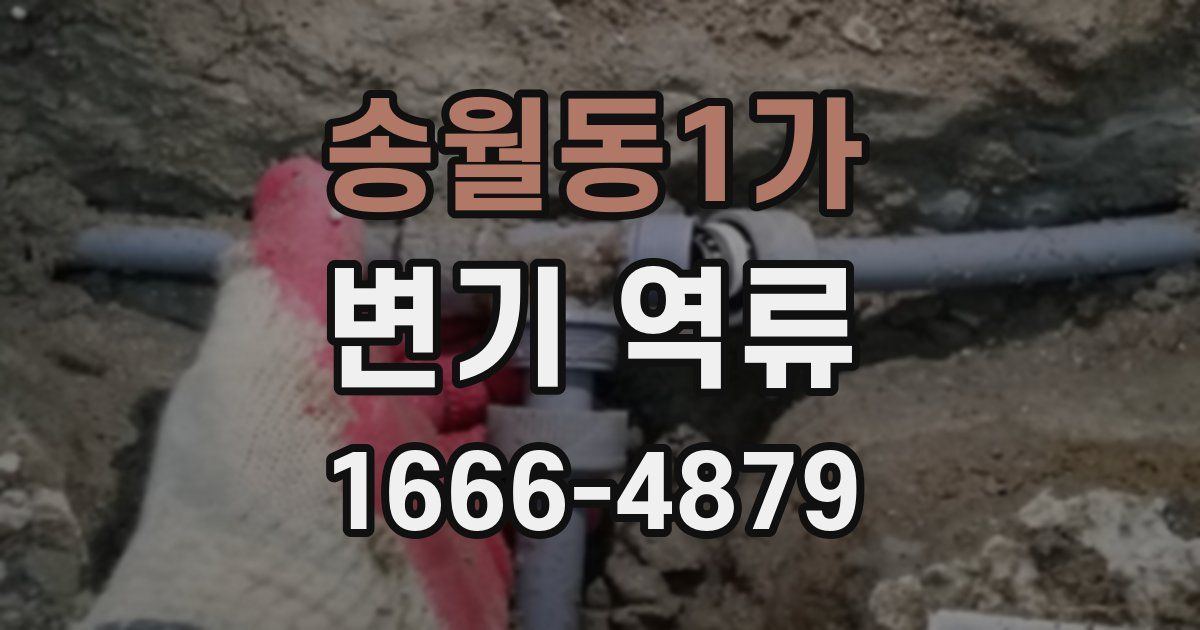 송월동1가 변기 역류